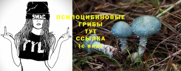 MDMA Premium VHQ Карталы
