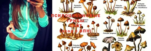 таблы Карпинск