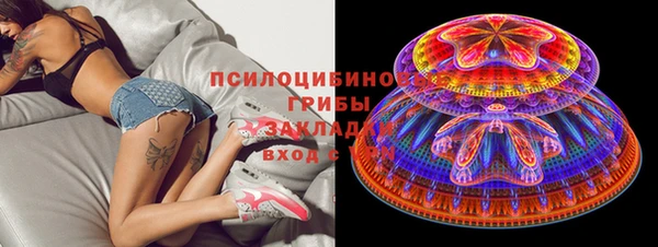 таблы Карпинск