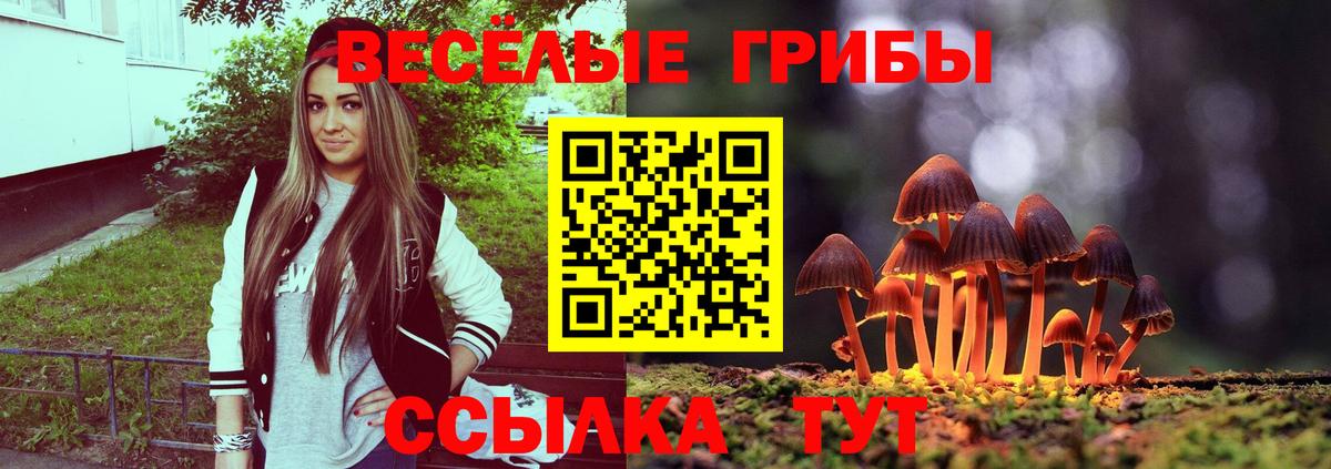 Галлюциногенные грибы Magic Shrooms Боровичи